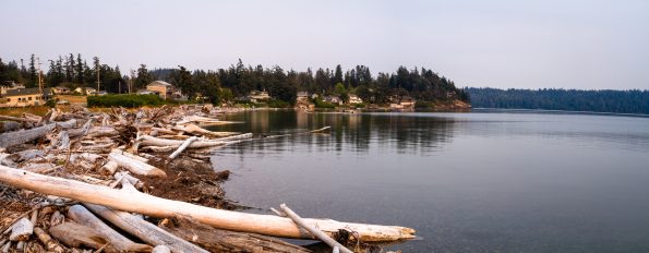 Large bay surrounded by houses and a beach covered in driftwood